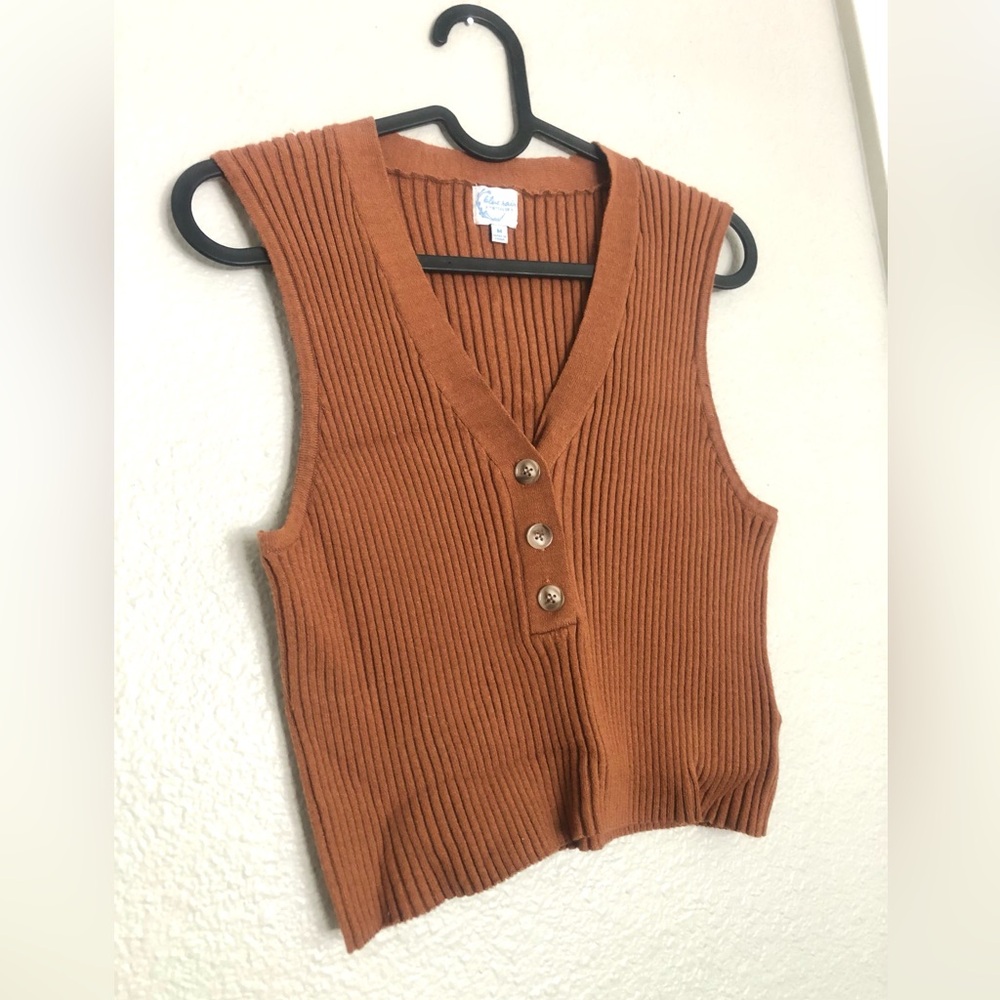 Francesca’s Blue Rain Burnt Orange Ribbed Button-Front Knit Vest